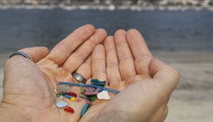 MICROPLÁSTICOS / Foto: Fernando Frazão/Agência Brasil