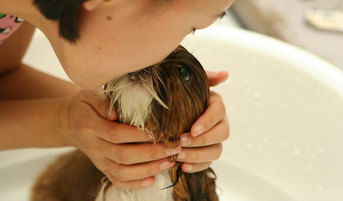 Faça do banho um momento relaxante e prazeroso para os pets