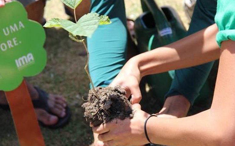 Alunos plantam mudas doadas pela Secretaria do Meio Ambiente e IMA em Coruripe