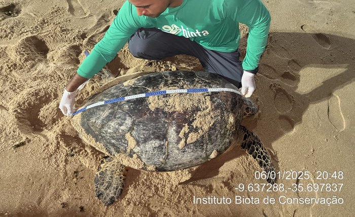 Animal foi marcado pelo Biota em 18/02/2020, em frente ao Ritz