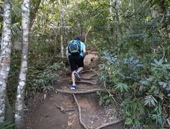 trilha morro dois irmãos -.jpg 