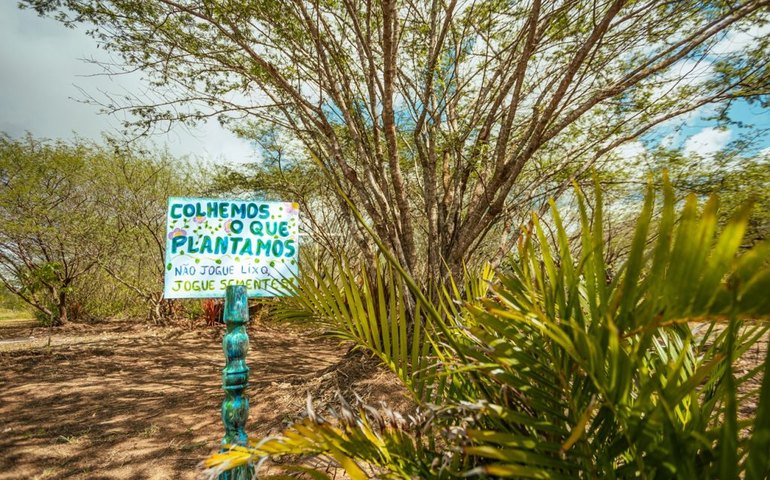 Prefeitura de Arapiraca reforça alerta sobre queimadas e descarte irregular de lixo