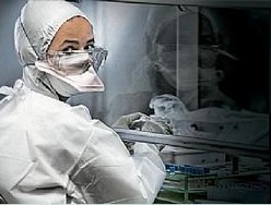 Novos casos de gripe suína no Brasil