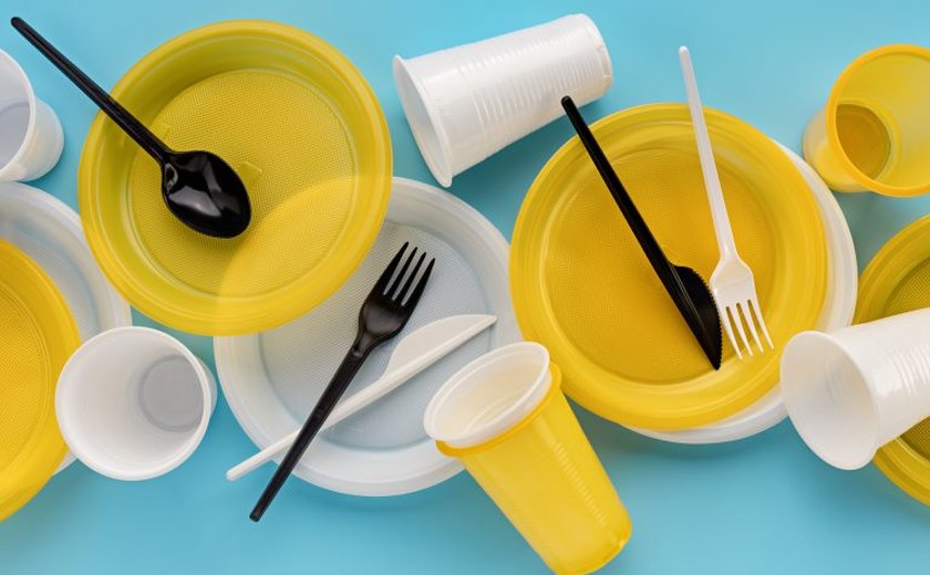 Comissão debate COP30, urgência climática e tratado em negociação sobre plásticos