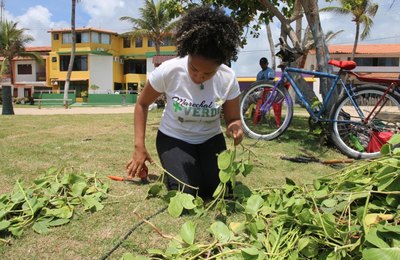 Secretaria de Meio Ambiente inicia recuperação da vegetação da Orla do Francês