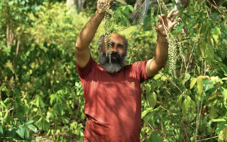 Secretário de Agricultura destaca geração de renda em produção agroecológica em Maceió