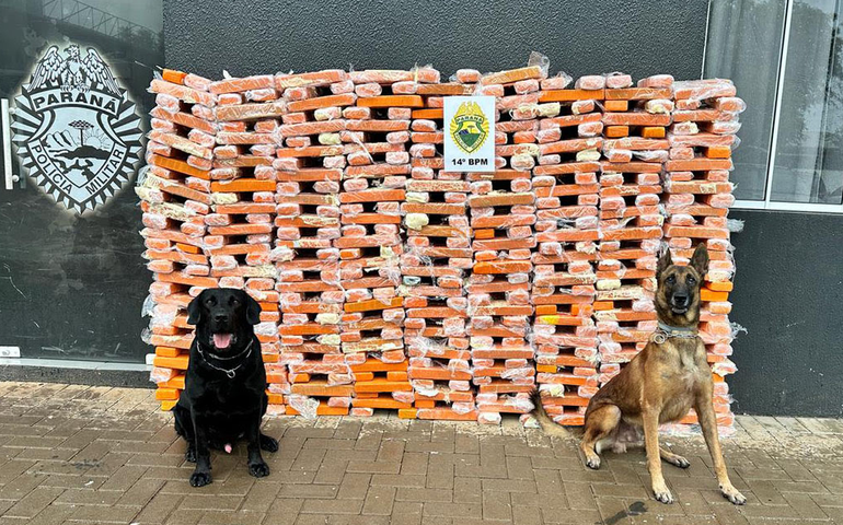 Faro apurado: canis da PMPR causam prejuízo de R$ 900 milhões ao crime desde 2023