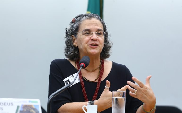 Ambientalistas apontam urgência na restauração da Mata Atlântica