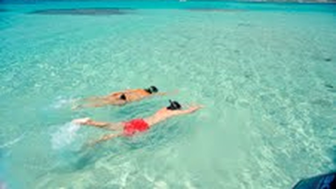 Órgãos públicos e empresários discutem turismo sustentável em Maragogi