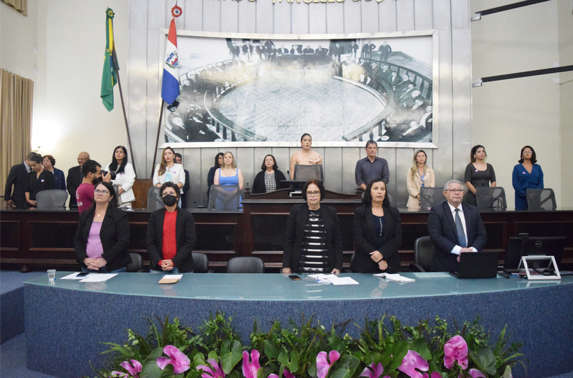 Gabi Gonçalves lança a lei Selo Flor de Lótus na sessão especial Mulheres Extraordinárias