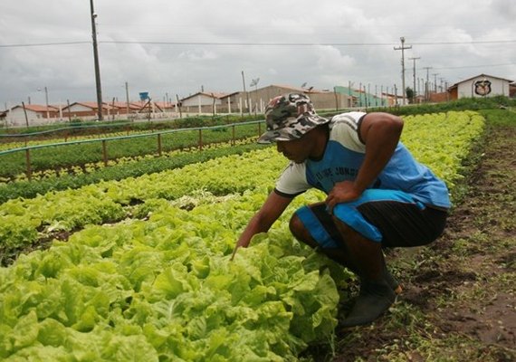 Ações da Seagri contribuem com o desenvolvimento rural em Alagoas