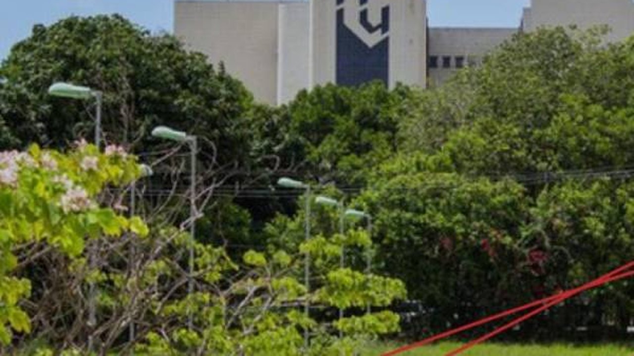 Hospital Universitário e UDA da Ufal iniciam linha de cuidados a pessoas trans