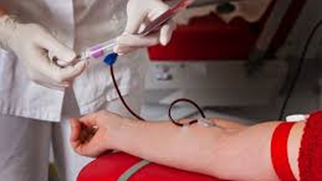 Alerta: Hemoal inicia 2015 com apenas 56% do estoque de sangue necessário