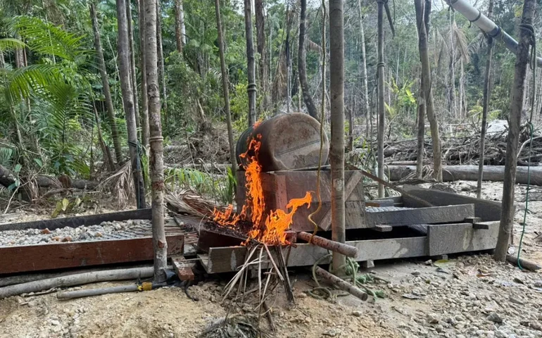 Polícia apoiada pela Interpol realiza quase 200 prisões em operação contra garimpeiros na região da Amazônia