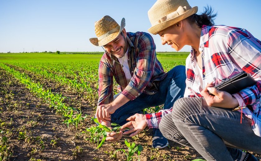 Agricultor familiar só poderá emitir o ﻿DAP/Pronaf até o dia 31 de outubro