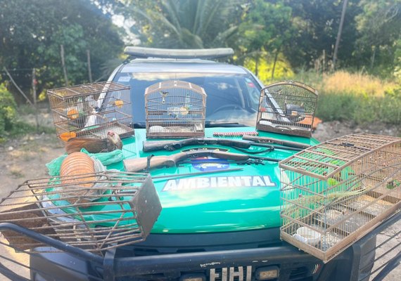 Polícia realiza operação e apreende aves e armas em Porto de Pedras
