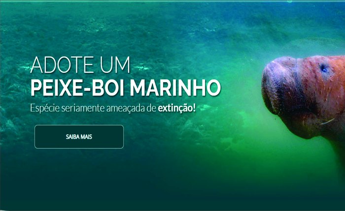 Projeto desenvolvido no litoral alagoano alia visitação regulamentada, educação ambiental e proteção de uma das espécies mais ameaçadas da fauna brasileira