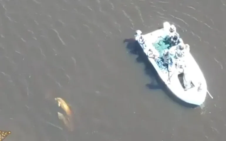 Policiais ajudam no resgate de mãe e filhote de peixe-boi na Flórida