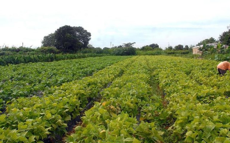 Ganho com práticas sustentáveis na lavoura vai além da receita com produção