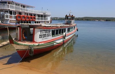 Circuito Penedo de Cinema promove ação simbólica de limpeza nas margens do Rio São Francisco