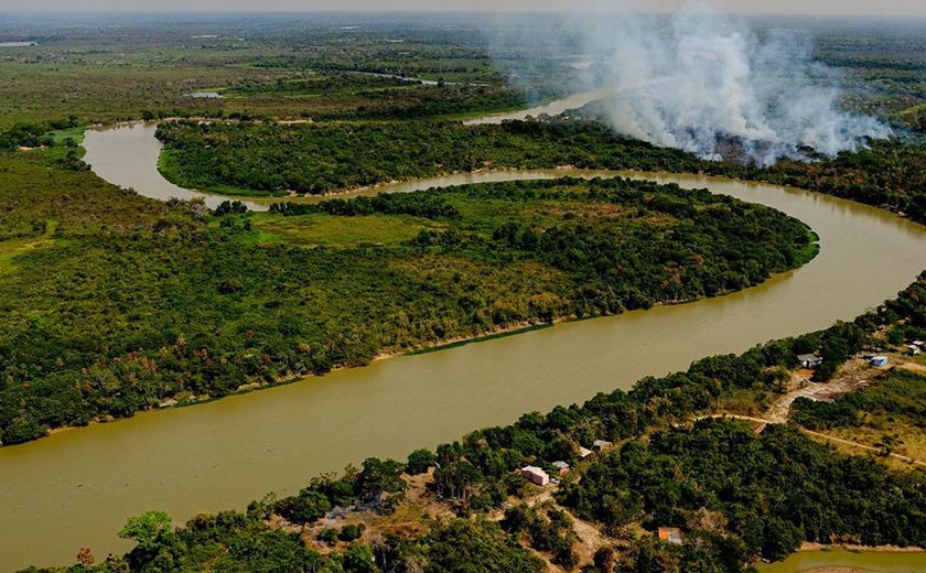 Comissão de Meio Ambiente analisa criação do Estatuto do Pantanal