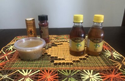 Bordados e Mel: Expedição Científica mapeia possibilidades de desenvolvimento econômico no interior de Alagoas