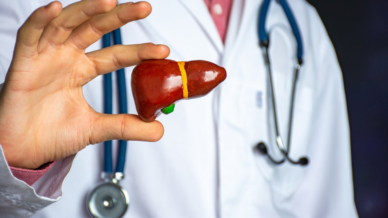 Maio Vermelho: além de danos ao fígado, hepatites também podem comprometer a saúde cardiovascular