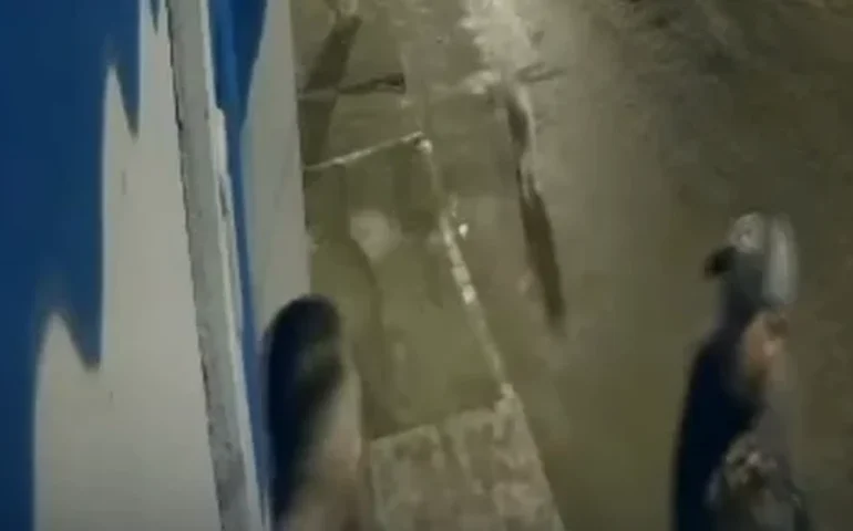 Homem mata cachorro a tiros após reclamar de latido na Baixada Fluminense