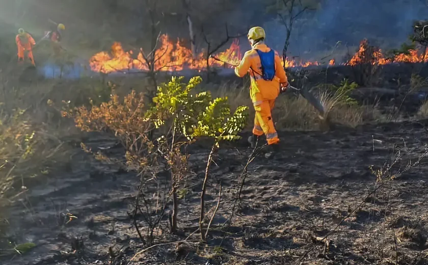 Governo de SP testa substância que apaga incêndio 5 vezes mais rápido do que água