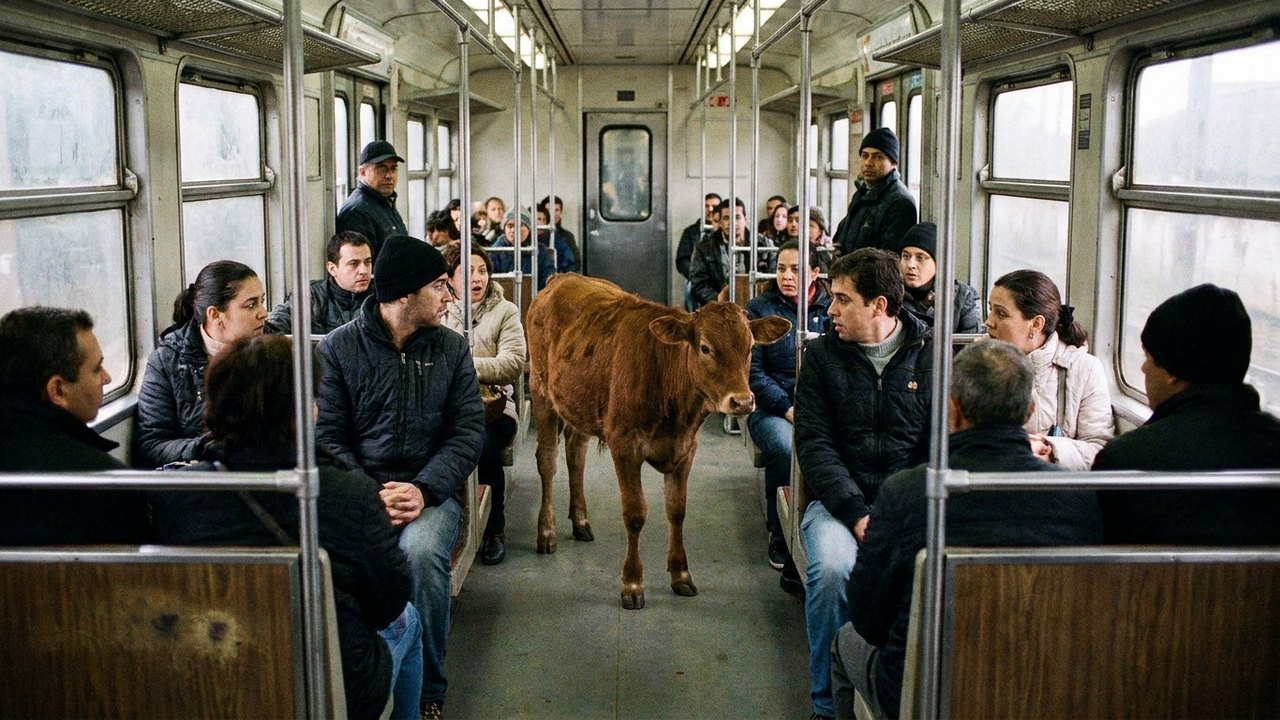 Bezerro invade trem em Japeri e assusta passageiros