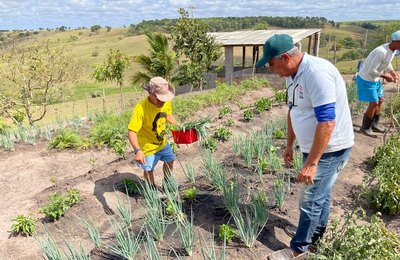 Trabalho da Prefeitura de Penedo com agricultura ajuda a reabilitação dos acolhidos na Casa do Bom Samaritano