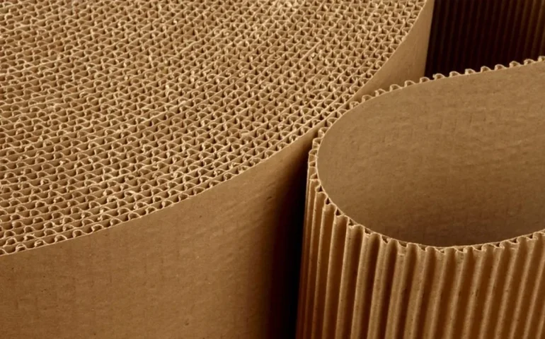 Expedição de papelão ondulado cresce 2,7% em 1 ano e totaliza 355.634 t em setembro