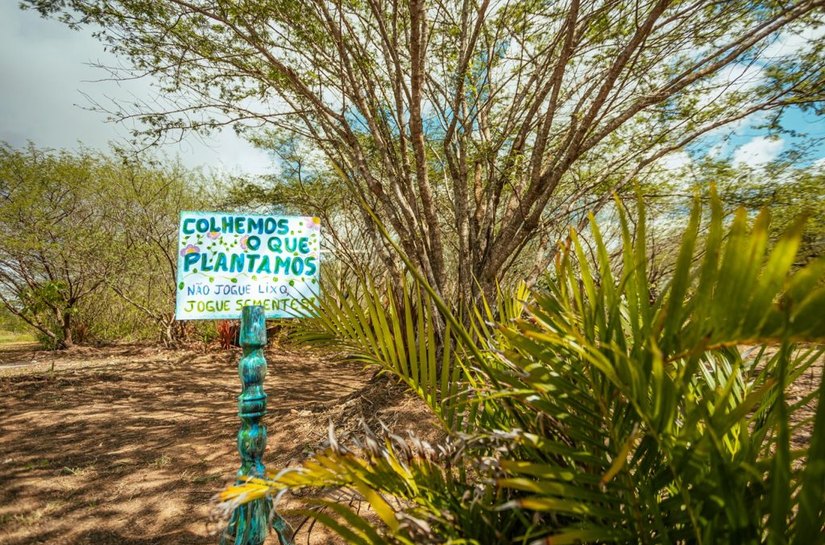 Crime ambiental: Prefeitura de Arapiraca alerta sobre queimadas e descarte irregular de lixo