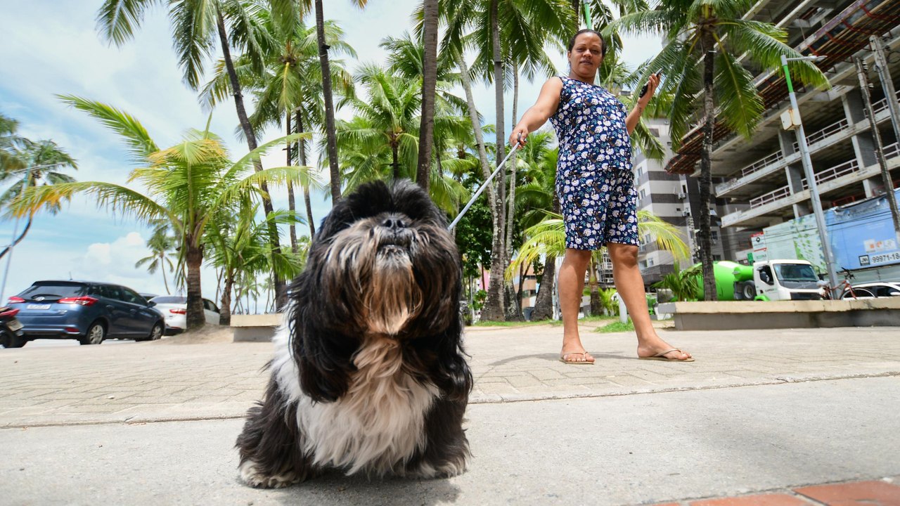 Sesau alerta sobre a importância da vigilância e controle de doenças transmitidas entre animais e seres humanos
