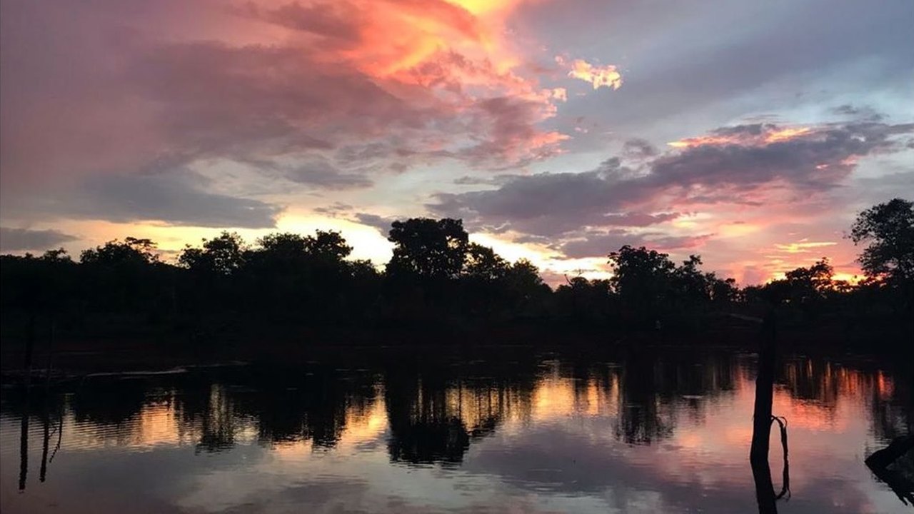 Dia Mundial da Água: Cerrado pode perder quase 34% da água até 2050
