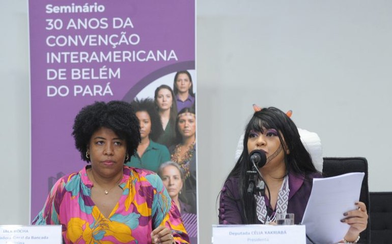 Especialistas destacam avanços e desafios no combate à violência contra a mulher