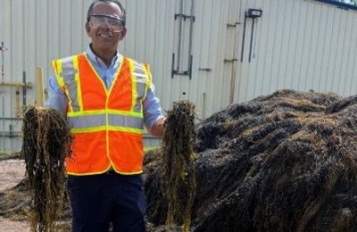 “Biologia a serviço da produtividade”, afirma Sérgio Abud sobre uso de extrato de algas na agricultura
