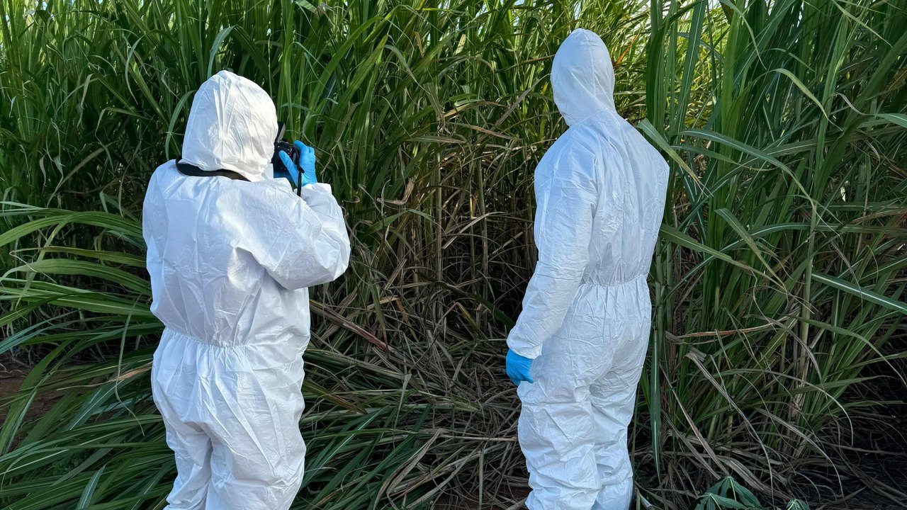 Corpo encontrado em São Sebastião passará por exame de DNA na Polícia Científica