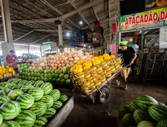28102026 Ceasa Abastecimento Frutas Verduras (PF)_0120.jpg.jpeg 