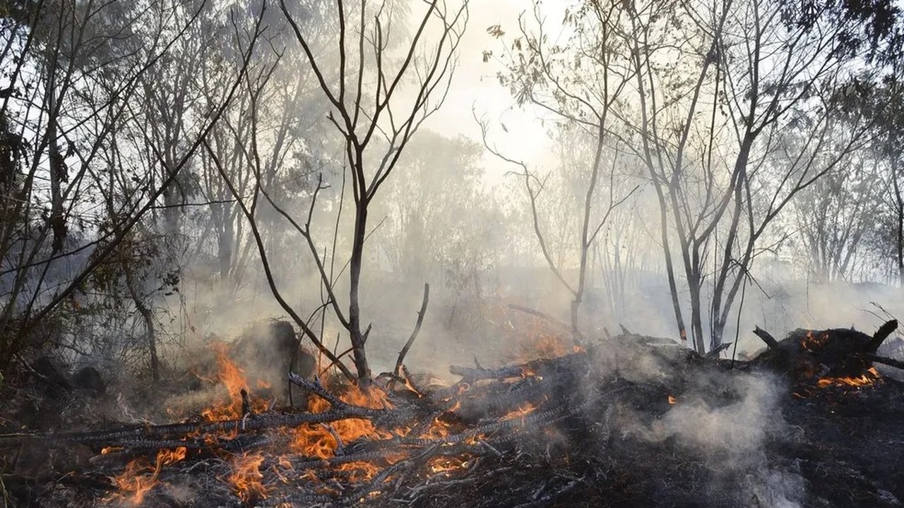 Incêndios florestais fora de controle causam evacuação no oeste do Canadá