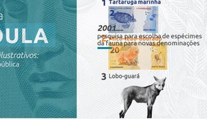 CÉDULA LOBO GUARÁ