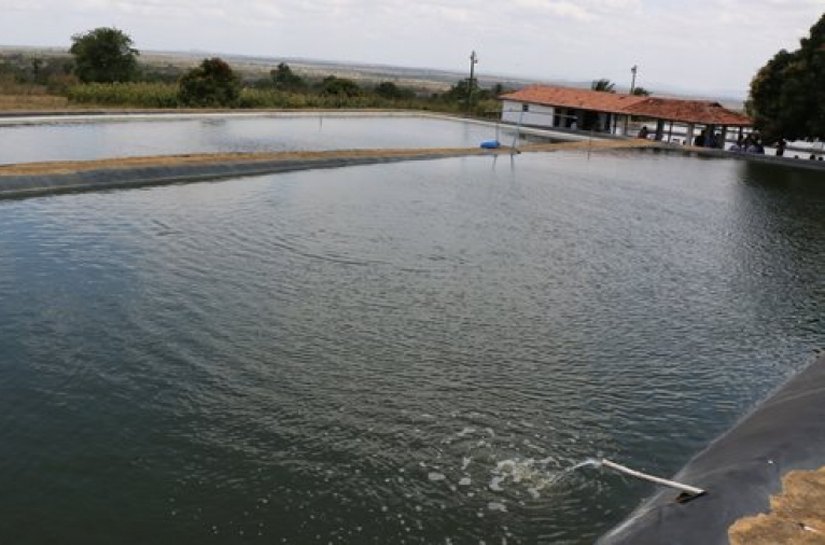 Pequenas barragens asseguram água para famílias no Sertão alagoano