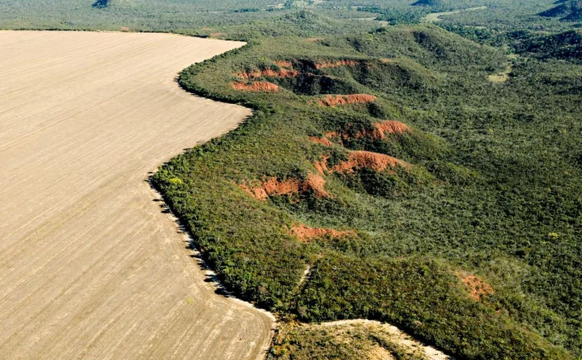 Desmatamento no Cerrado emite 135 milhões de toneladas de CO2 desde 2023