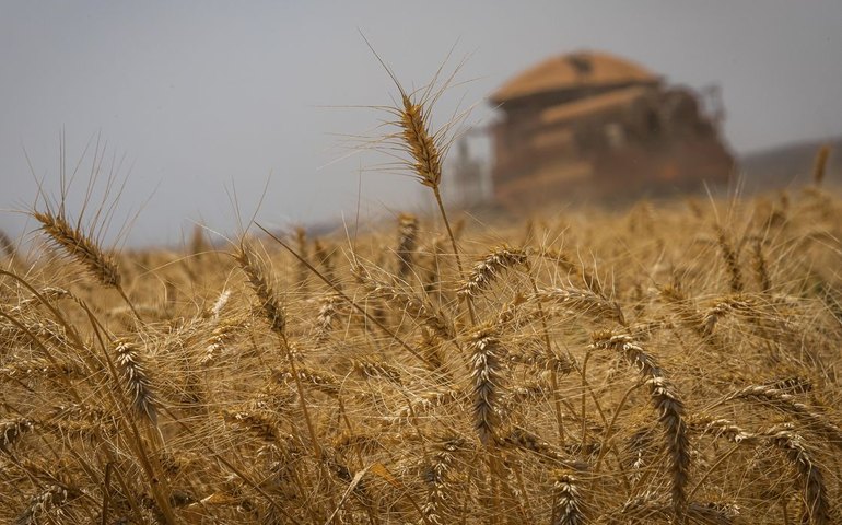 Safra de grãos dever chegar a 298,6 milhões de toneladas, diz Conab