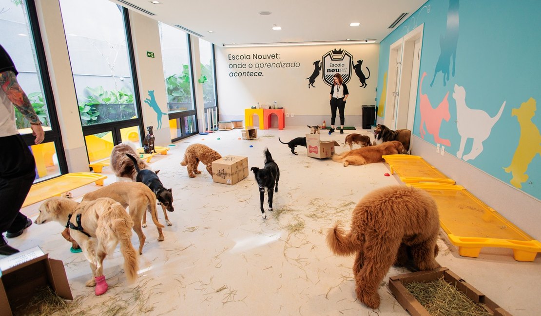 Escolas promovem bem-estar e qualidade de vida para os cães