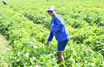 Prefeitura de São Miguel dos Campos abre cadastro para nova etapa do Programa Comida na Mesa