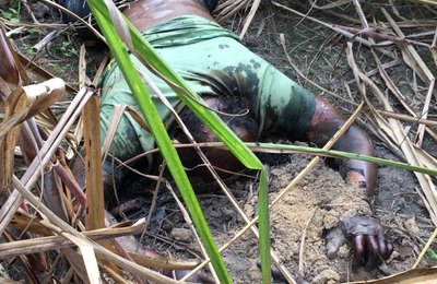 Corpo em estado de putrefação é encontrado em Marechal Deodoro