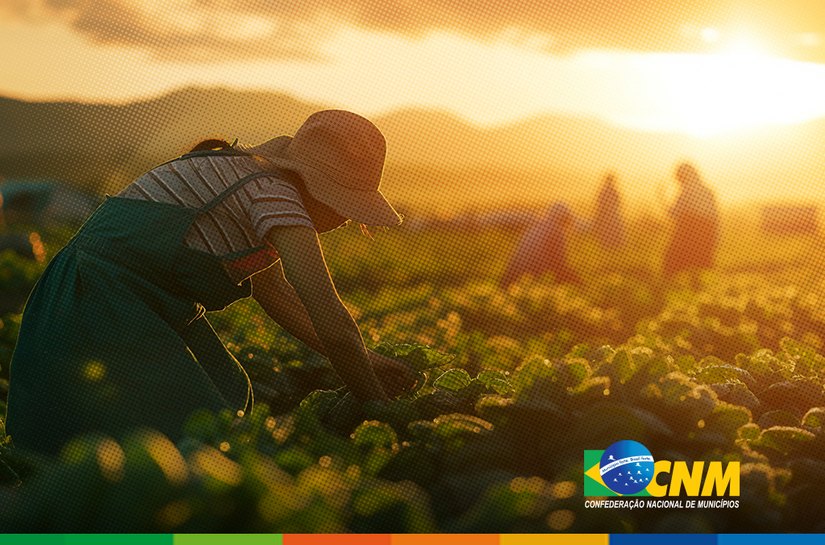 Portaria estabelece diretrizes para uso do Fundo Garantia-Safra frente às mudanças climáticas