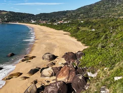 Praia de Taquaras_J. Maurício 02_Enviar.jpg 
