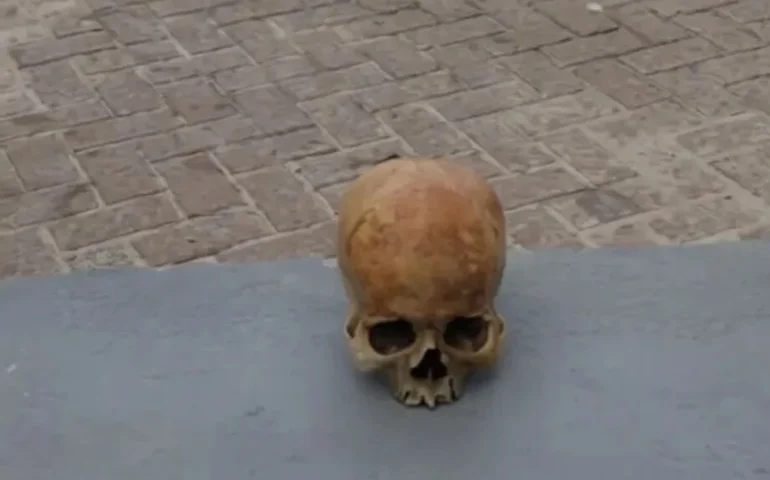 Crânio humano é encontrado por banhista em praia turística de Alagoas; polícia investiga